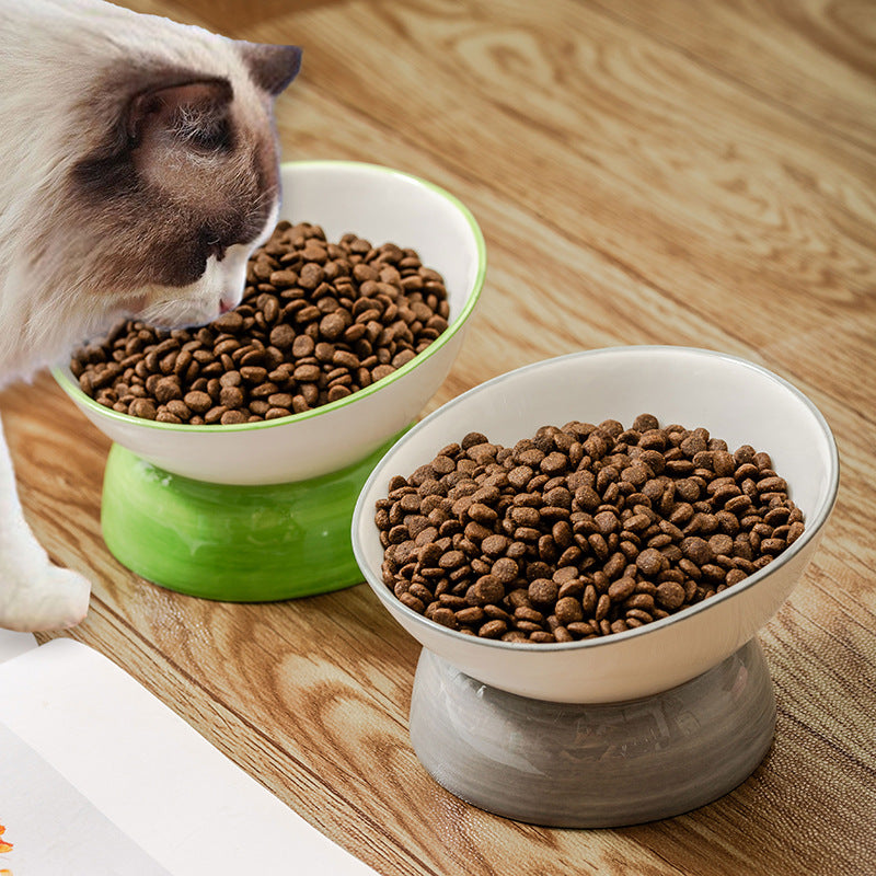 Angled, Elevated Ceramic Pet Bowl (Cat/Dog)