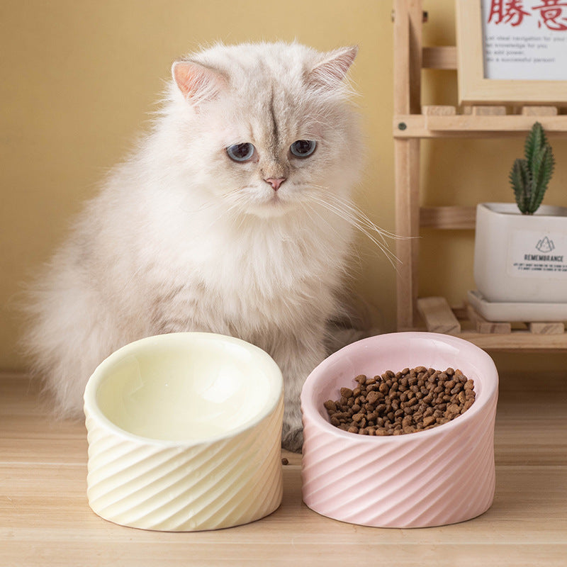 Ergonomic Ceramic Tilted-Rim Elevated Pet Bowl