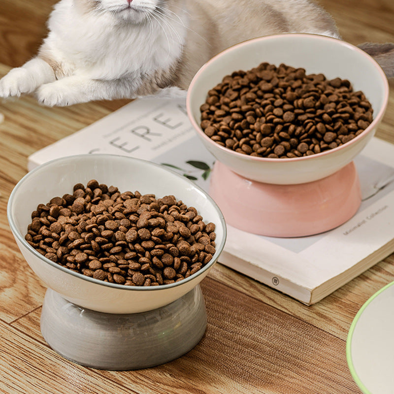 Angled, Elevated Ceramic Pet Bowl (Cat/Dog)