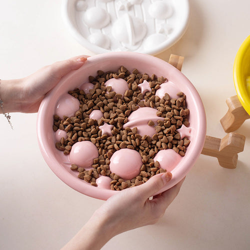 Ceramic Slow Feeder Pet Bowl with Stand Set