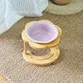 Slanted Wooden Elevated Cat Feeding Stand