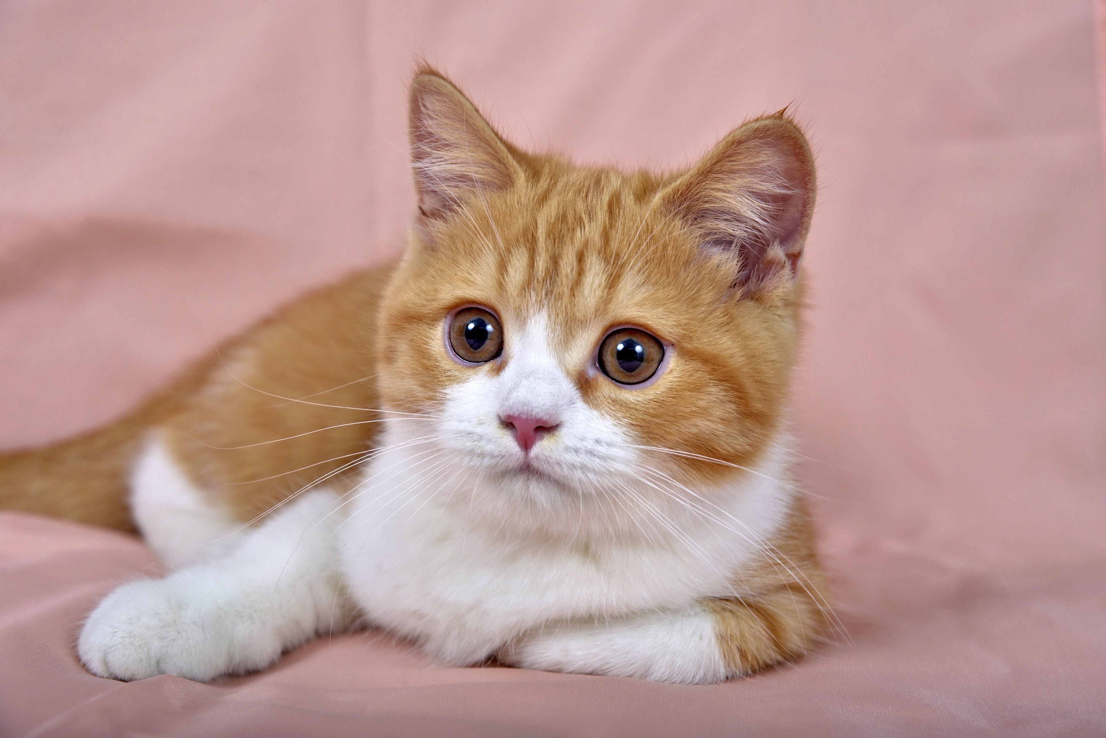 slider image 1621243260e1af0c20-0