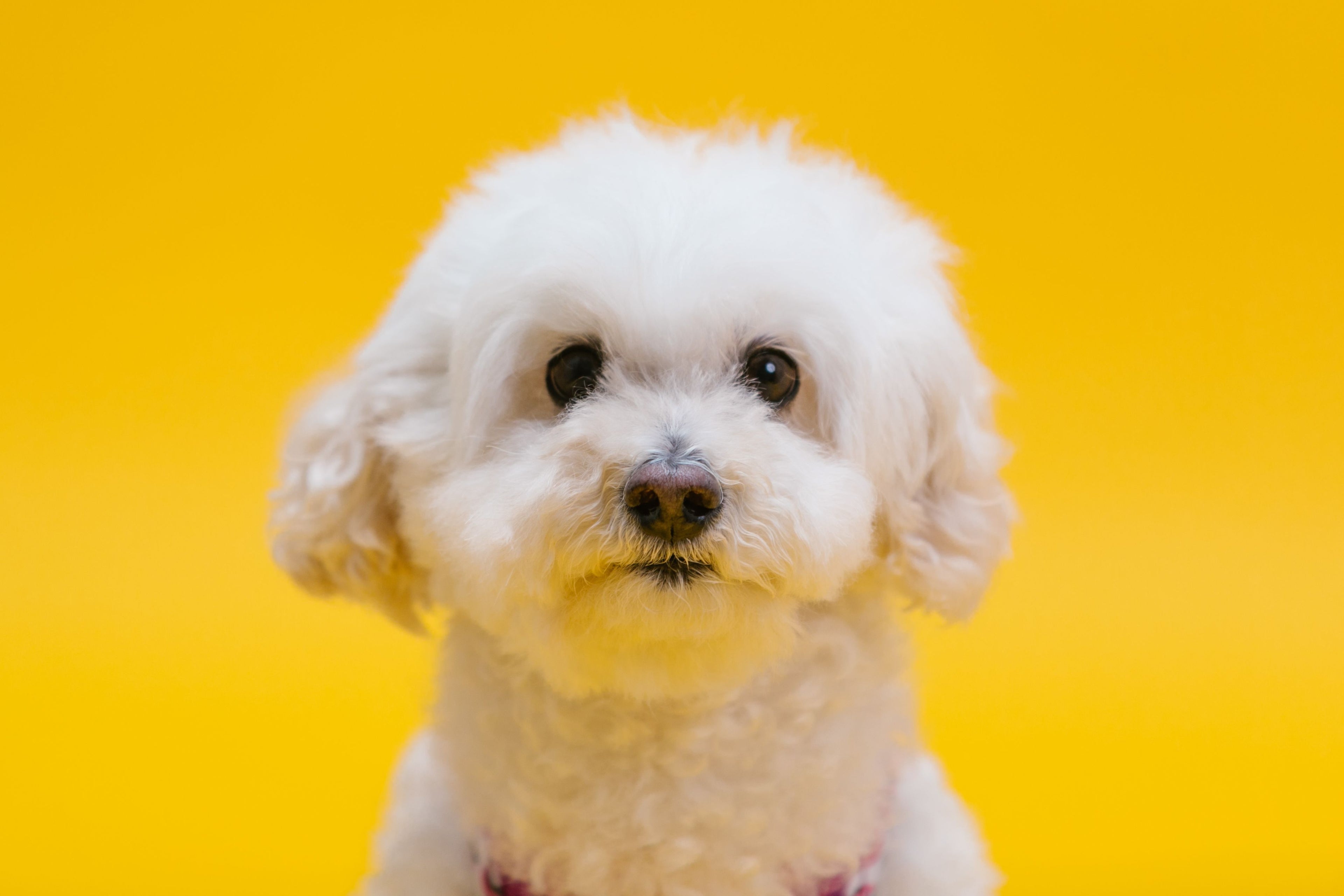 slider image 1621243260e1af0c20-1